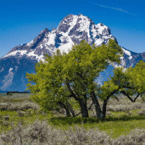 pourquoi jai mal au teton