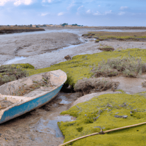 pourquoi la mer est salee