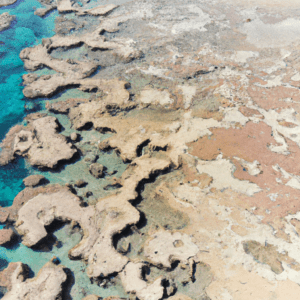 pourquoi la mer rouge