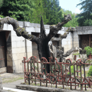 pourquoi le macumba a ferme