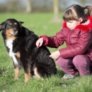 pourquoi mon chien sent mauvais