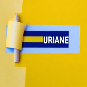 pourquoi ua plaque ukraine